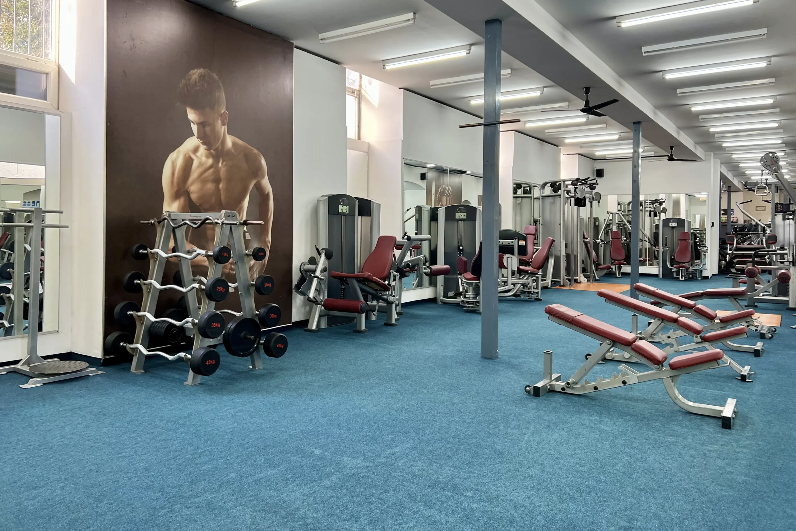 Life Fitness Főterem Szabadsúlyok és Bicepsz Pad