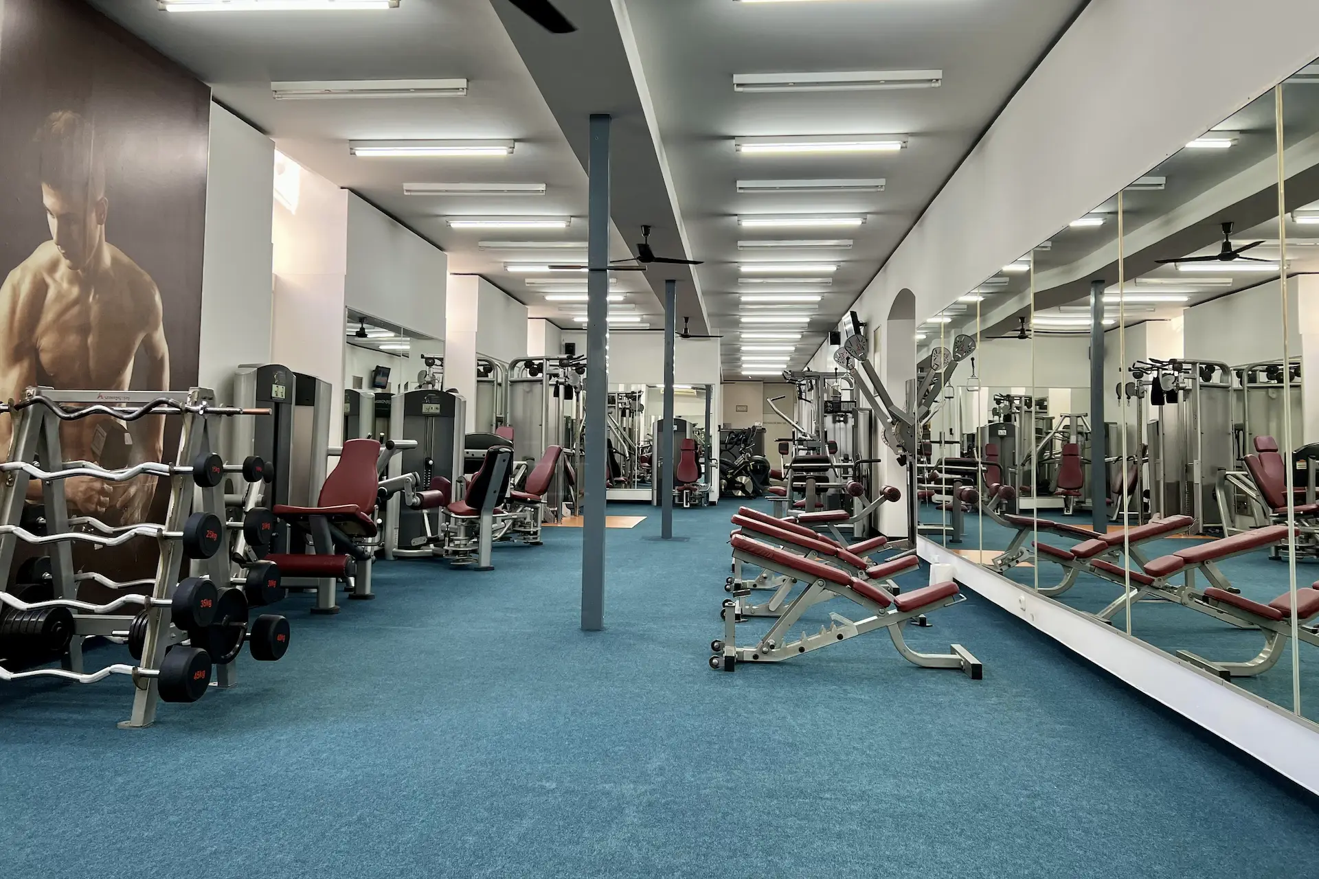 Life Fitness lapsúlyos géppark és csigás torony