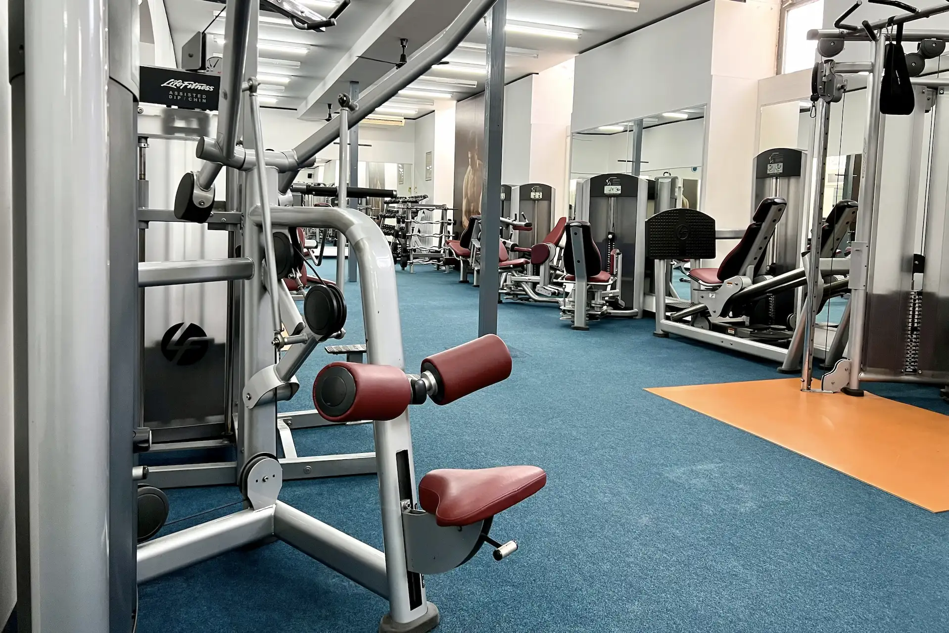 FLEX fekvenyomó padok és súlytárcsák